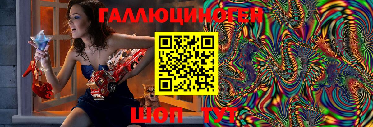 Псилоцибиновые грибы Psilocybine cubensis Ирбит