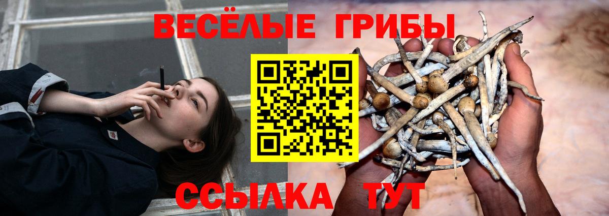 Псилоцибиновые грибы прущие грибы  Вход с VPN  Ирбит 